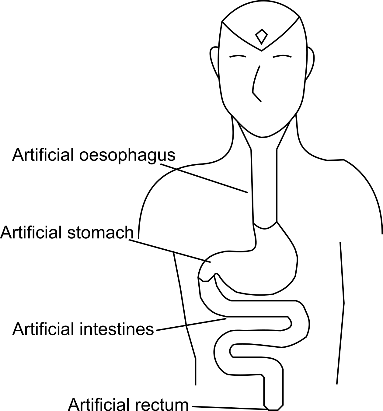 Illustration of synthetic digestive system for Vision